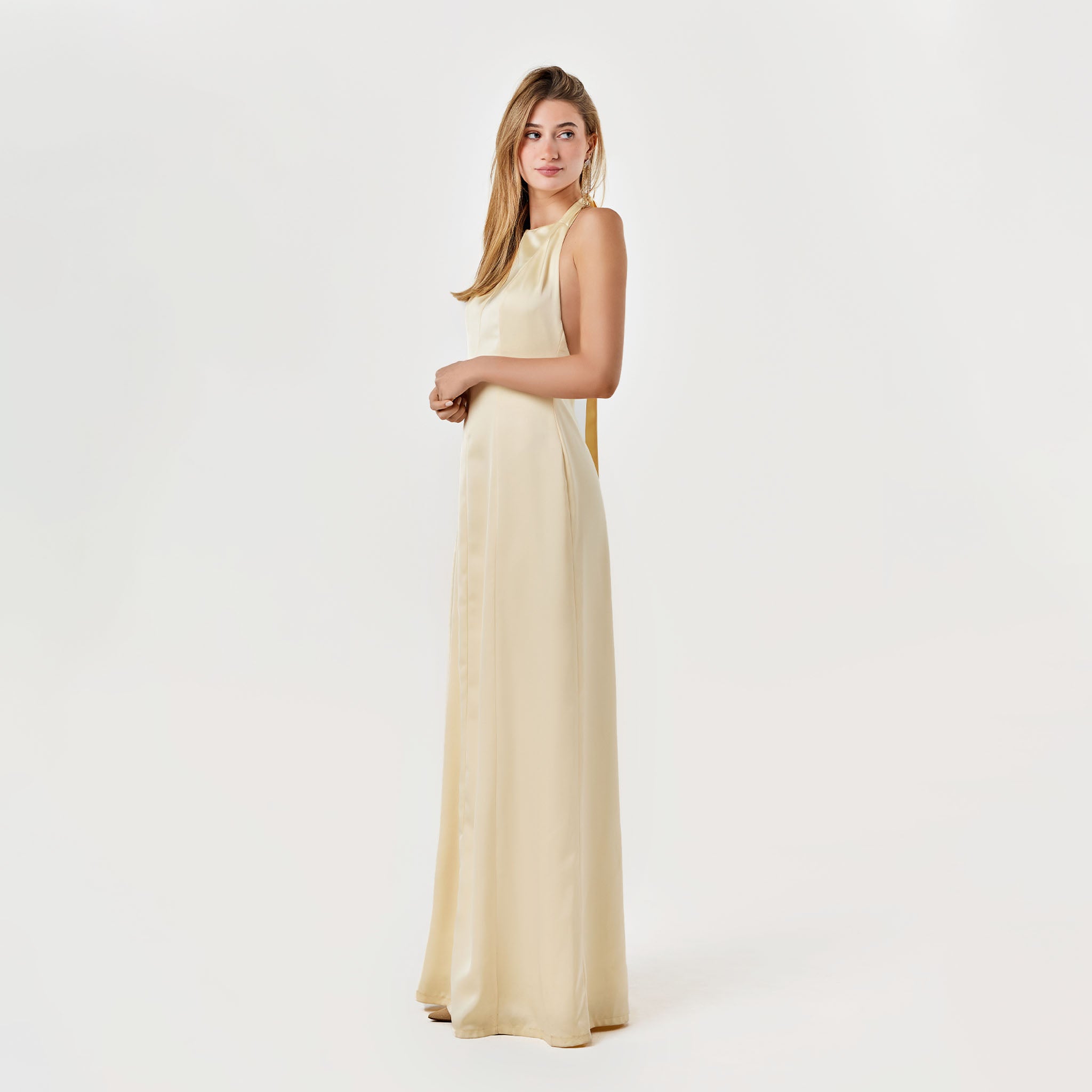 Nay Dress